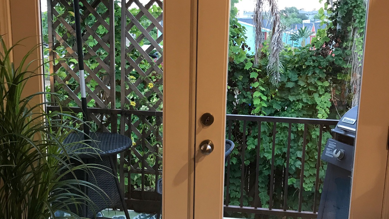 Photo of Others in Leucadia
