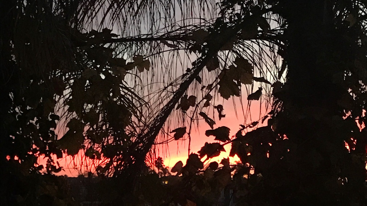 Photo of Outdoor in Leucadia