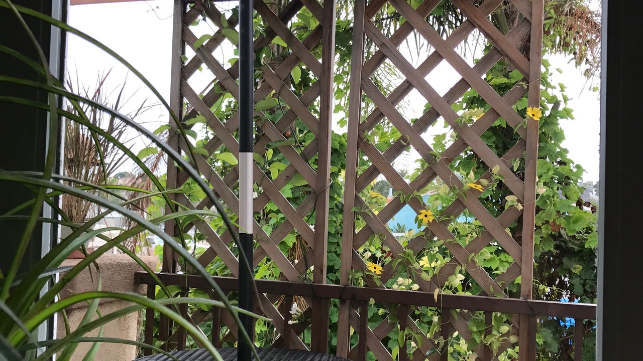 Photo of Outdoor in Leucadia