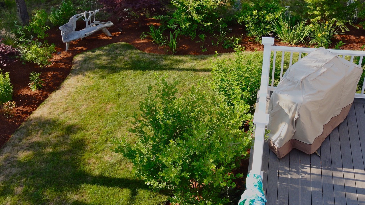 Photo of Others in South Chatham