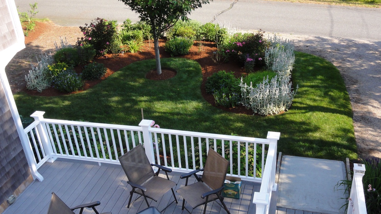 Photo of Others in South Chatham