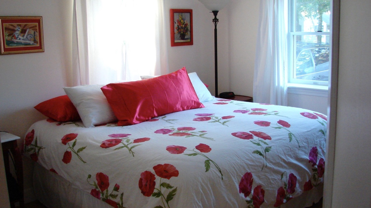 Photo of Others in South Chatham