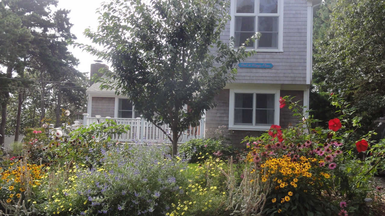 Photo of Others in South Chatham