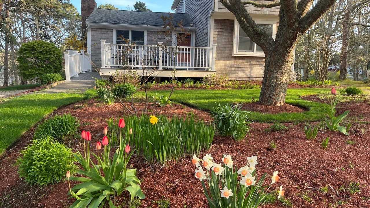 Photo of Others in South Chatham