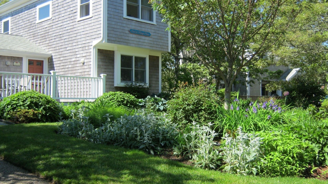 Photo of Others in South Chatham