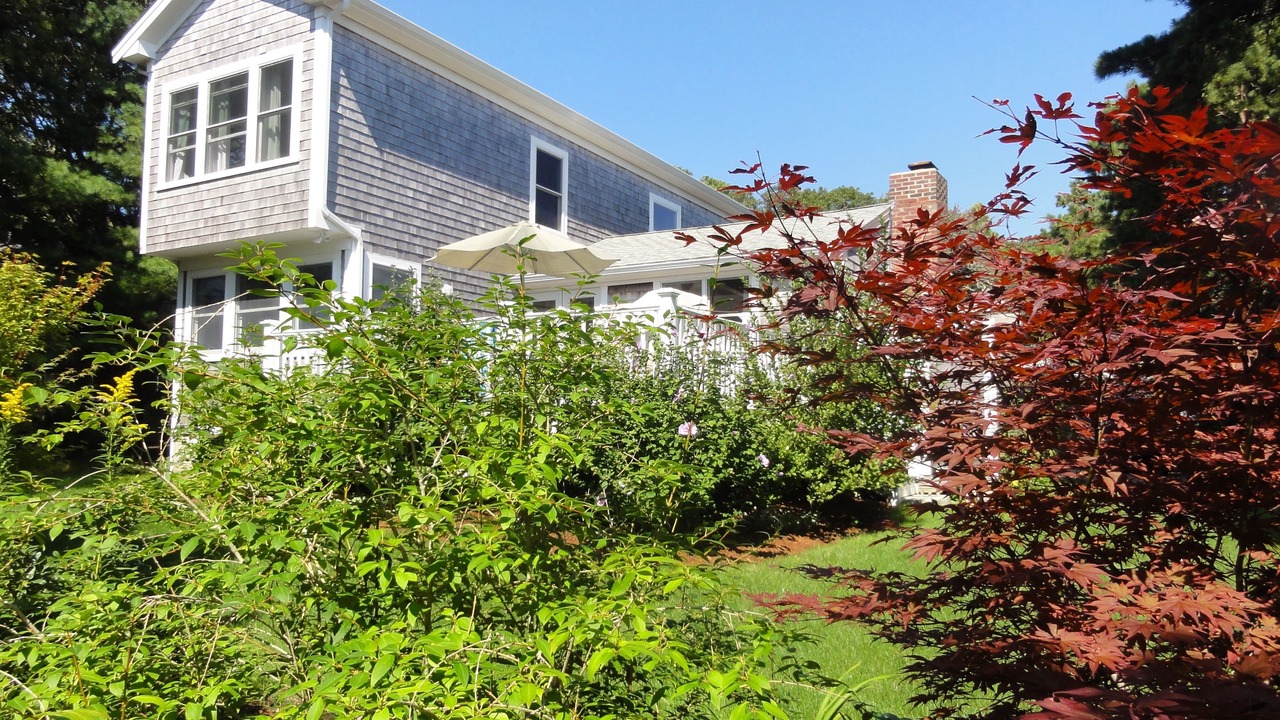 Photo of Outdoor in South Chatham