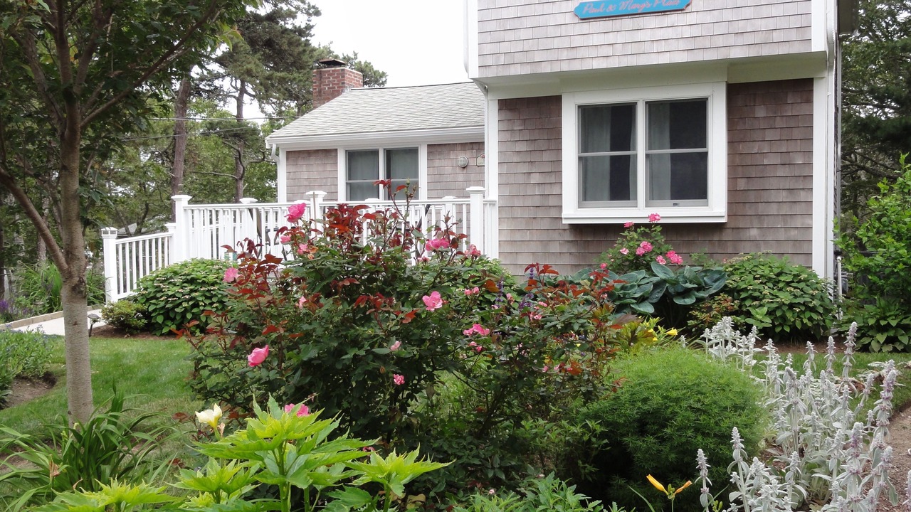 Photo of Others in South Chatham