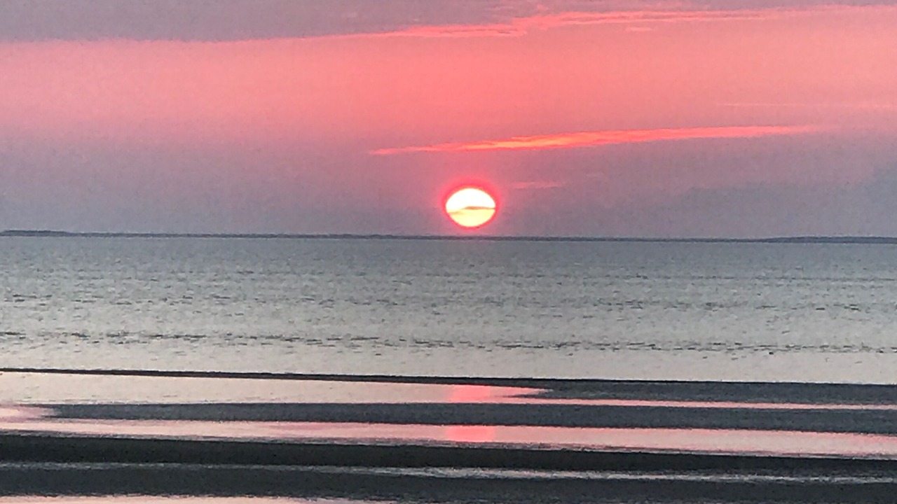 Photo of Others in North Eastham