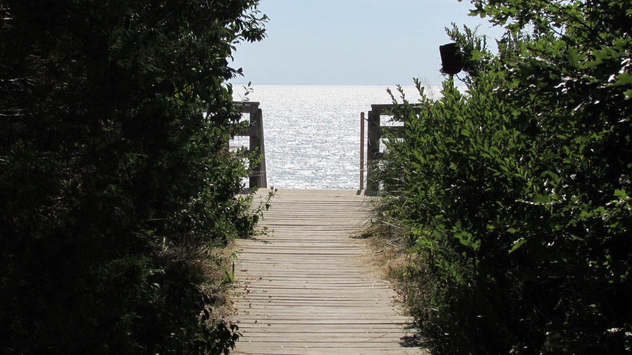 Photo of Others in North Eastham