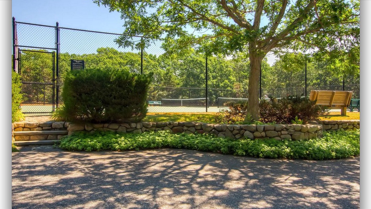 Photo of Others in West Tisbury