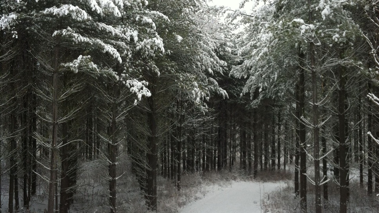 Photo of Others in Laurelville