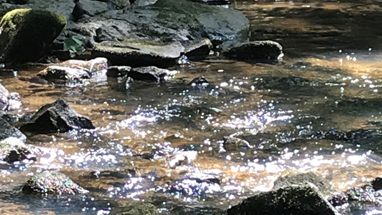 Photo of Outdoor in Laurelville