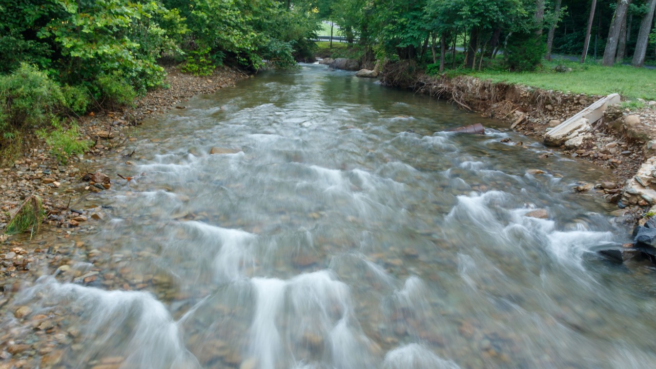 Photo of Others in Stanardsville