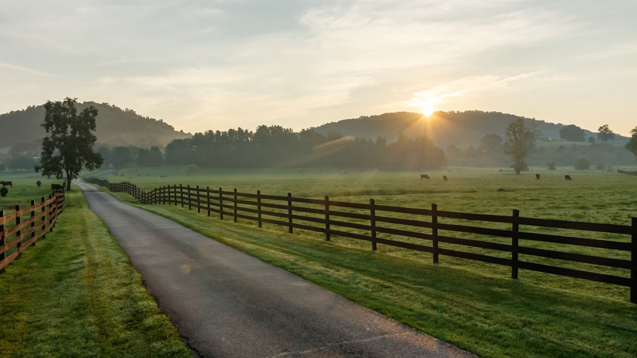 Photo of Outdoor in Stanardsville