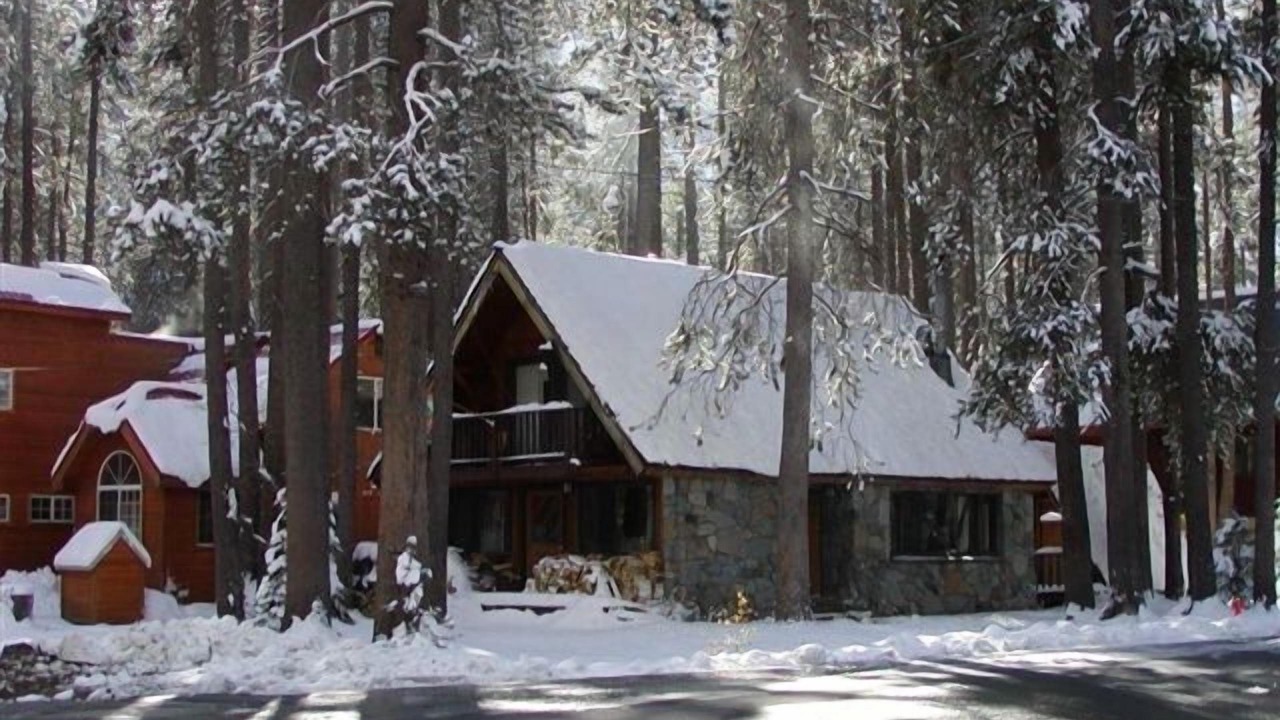 Photo of Others in Donner Lake Woods
