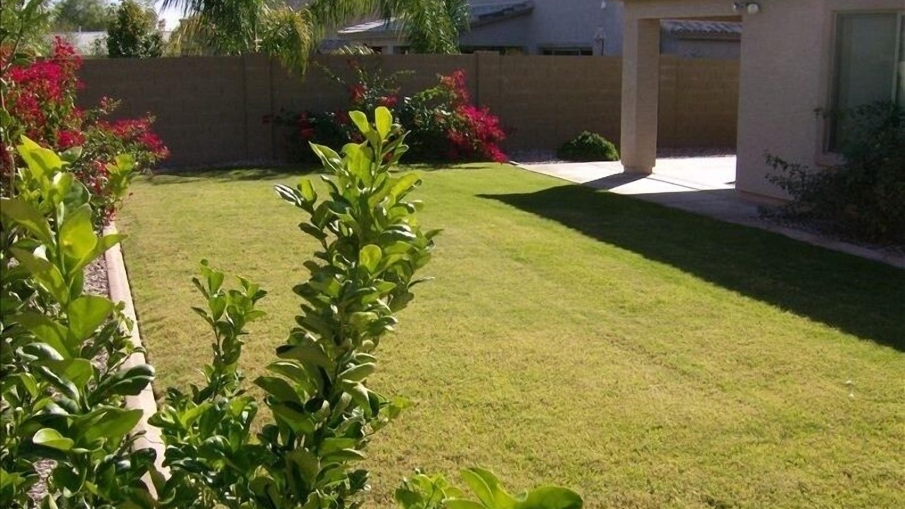 Photo of Others in San Tan Valley