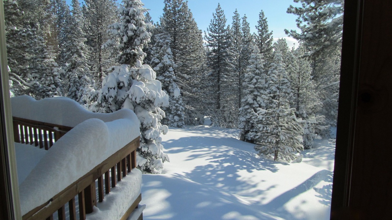 Photo of Bedroom in Truckee