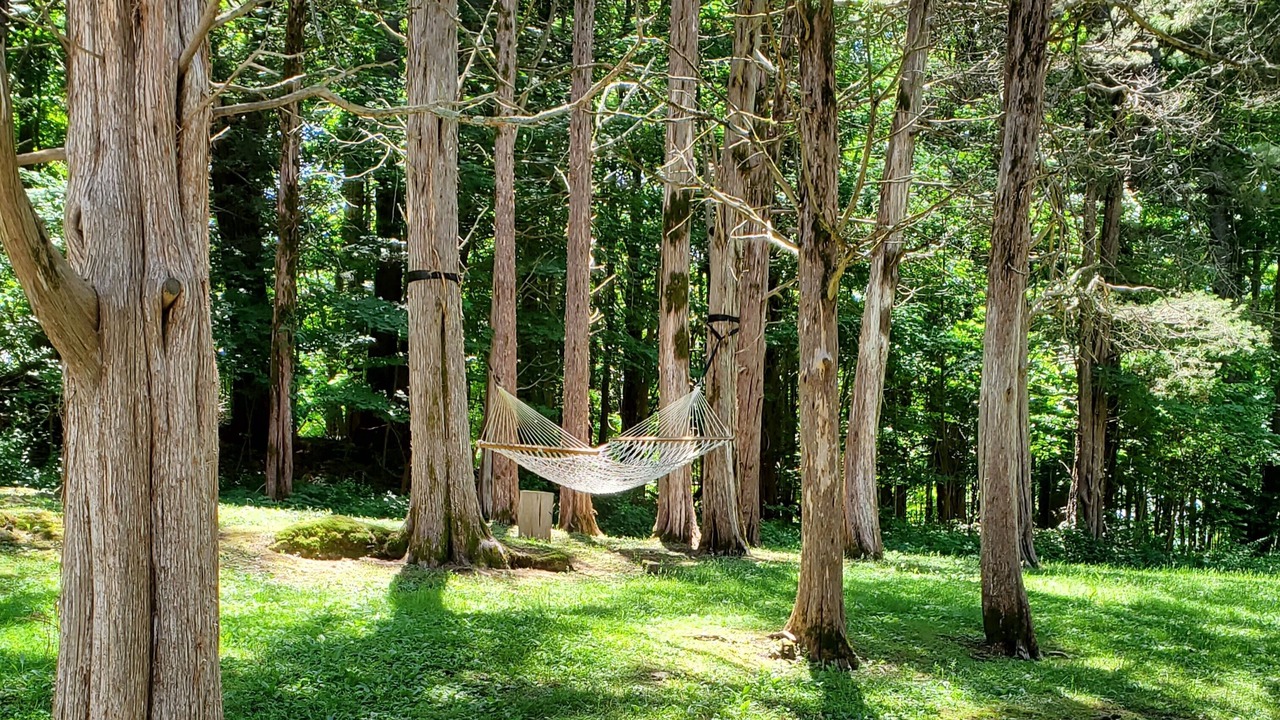 Photo of Others in West Camp