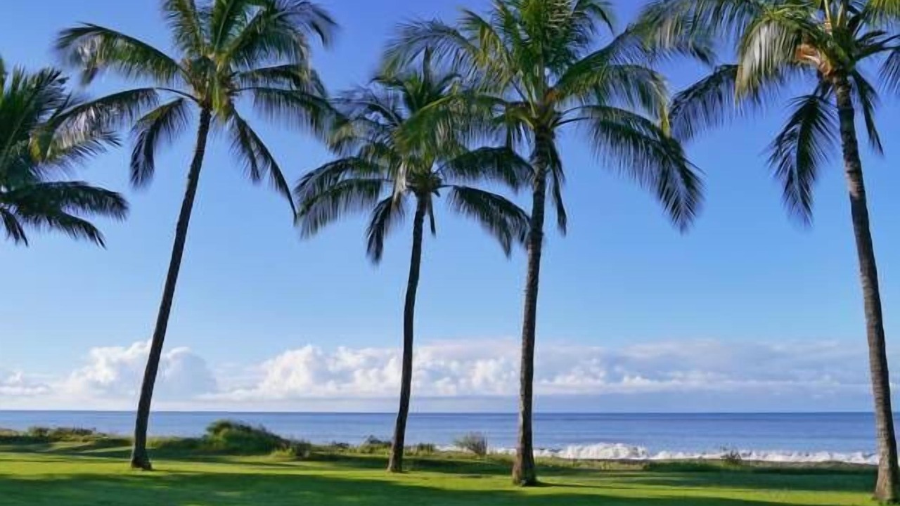 Photo of Others in Waimea