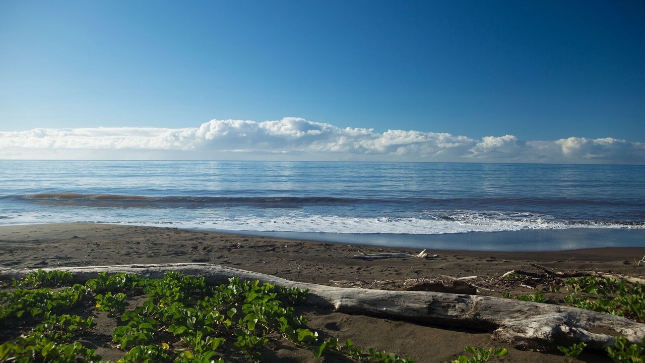Photo of Others in Waimea