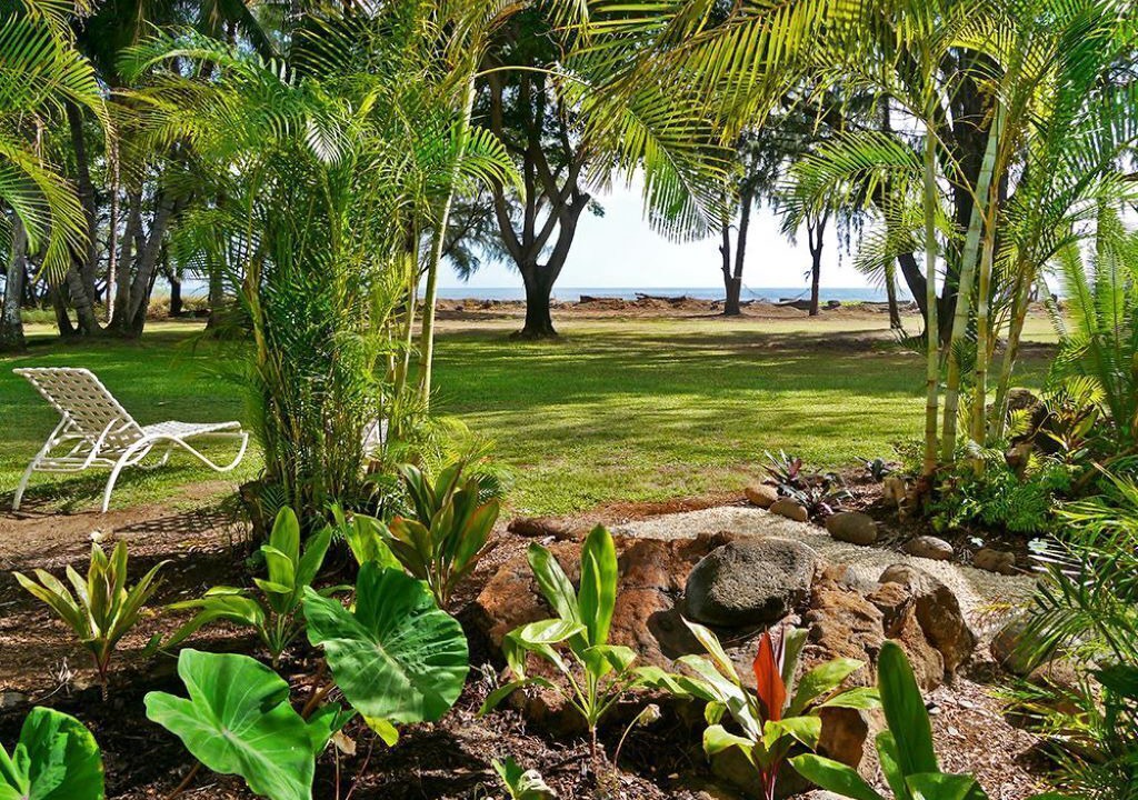 Photo of Outdoor in Waimea