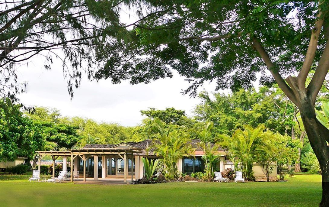 Photo of Others in Waimea