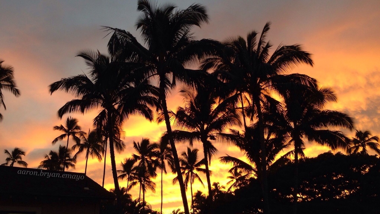 Photo of Others in Waimea