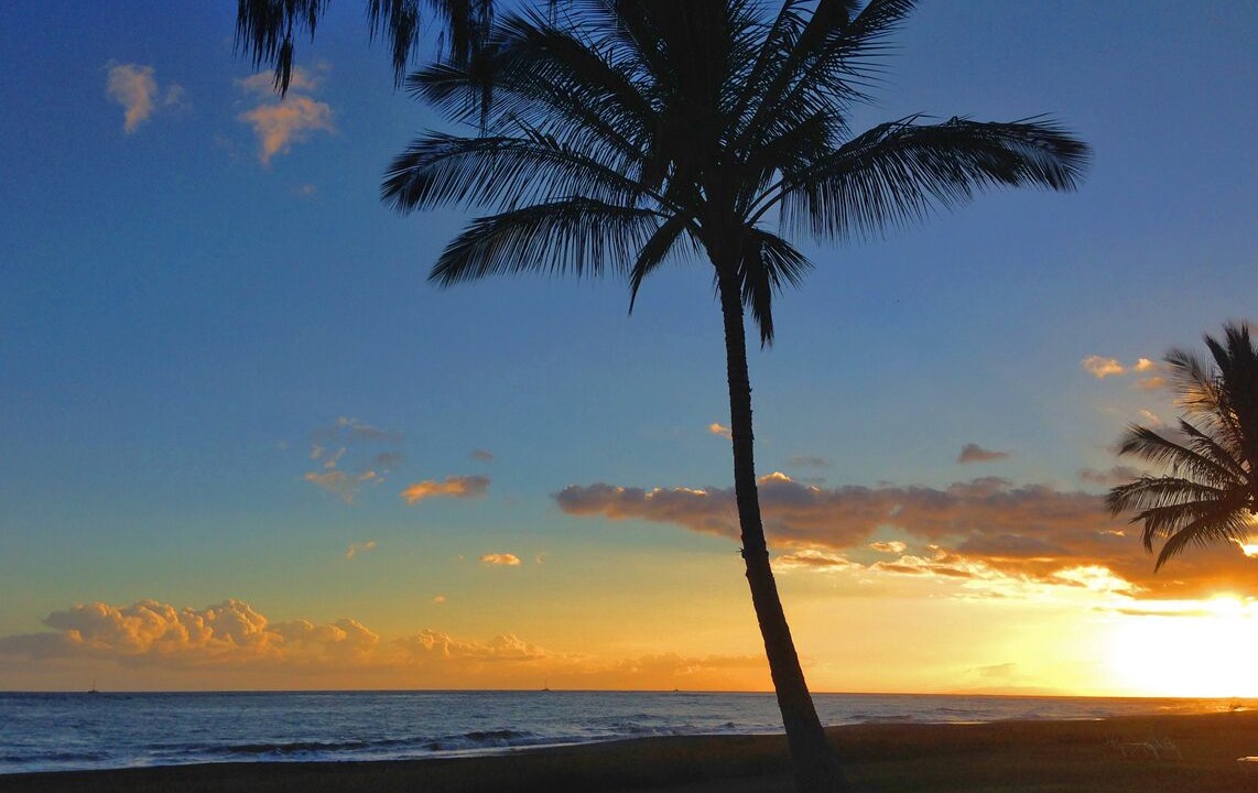 Photo of Others in Waimea