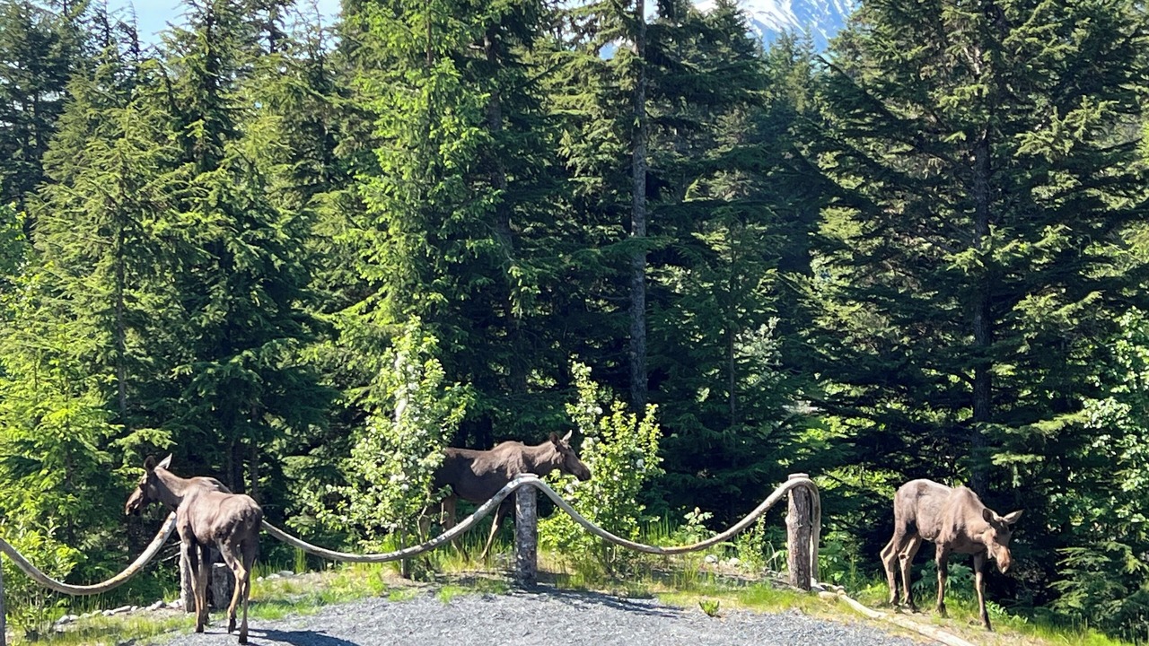 Photo of Others in Bear Creek