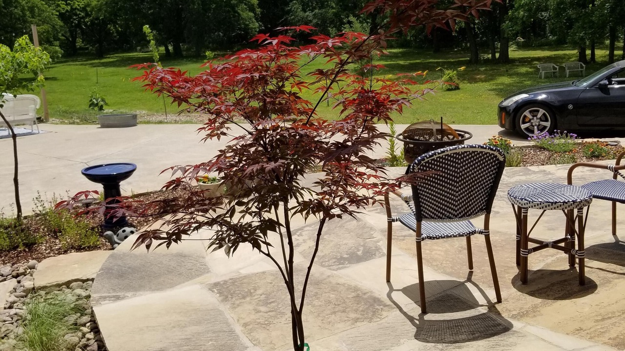 Photo of Outdoor in Colleyville