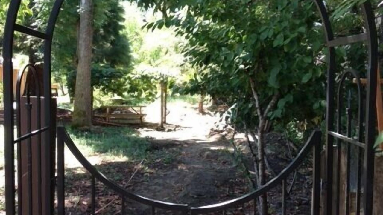 Photo of Outdoor in Southeast Eugene