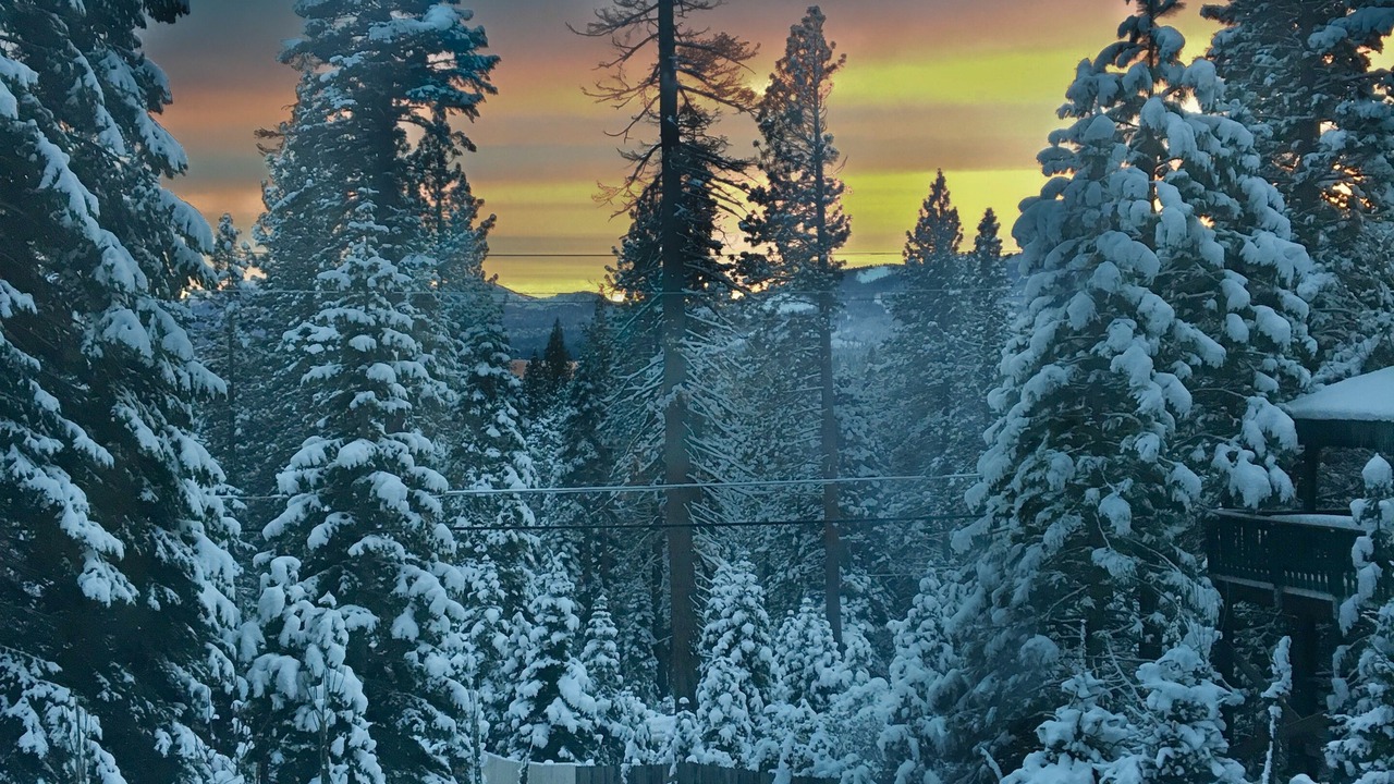 Photo of Others in Tahoe Woods