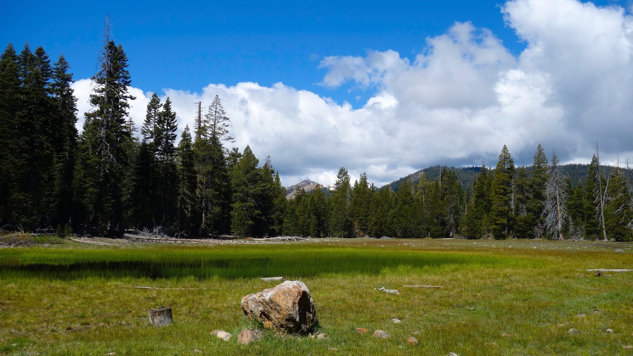 Photo of Others in Tahoe Woods
