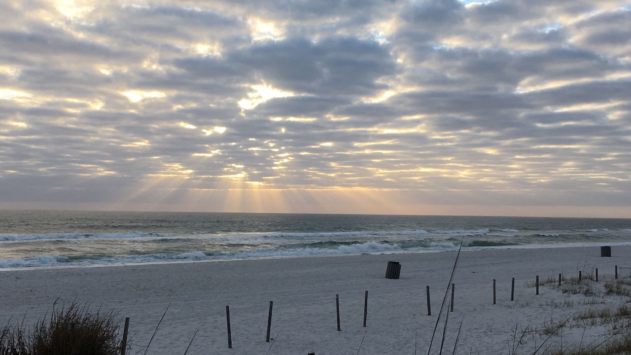 Photo of Others in Biltmore Beach