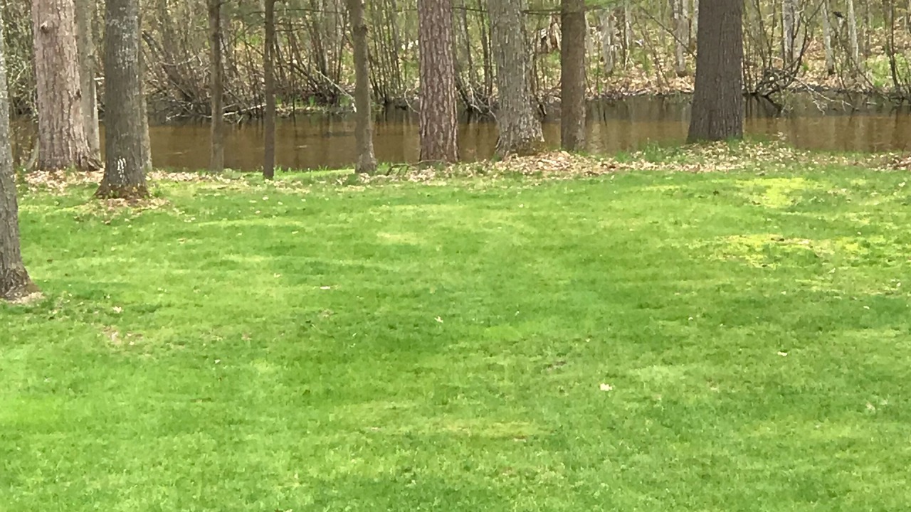Photo of Others in Lake City