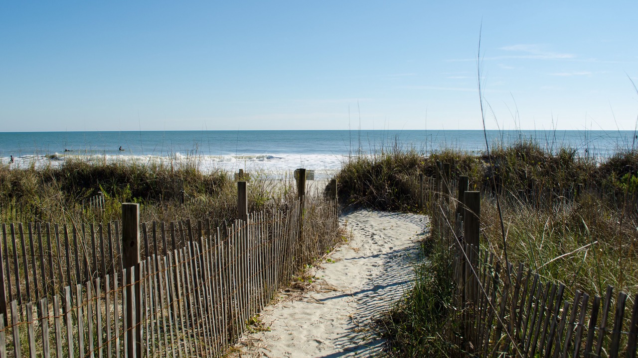 Photo of Others in Surfside Beach