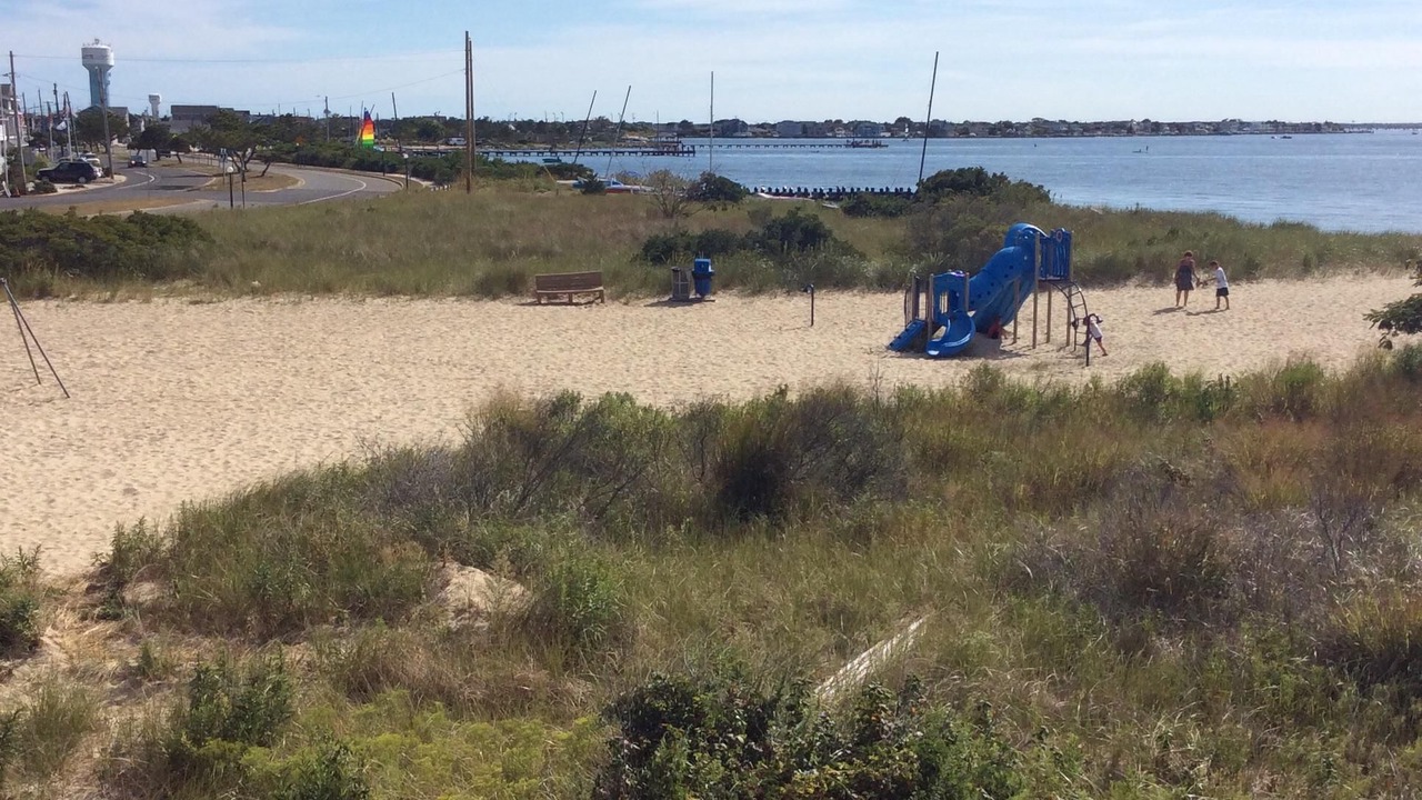 Photo of Others in Lavallette