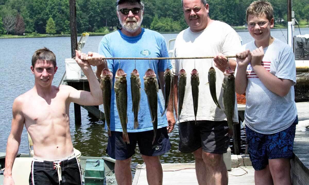 Photo of Others in Langley