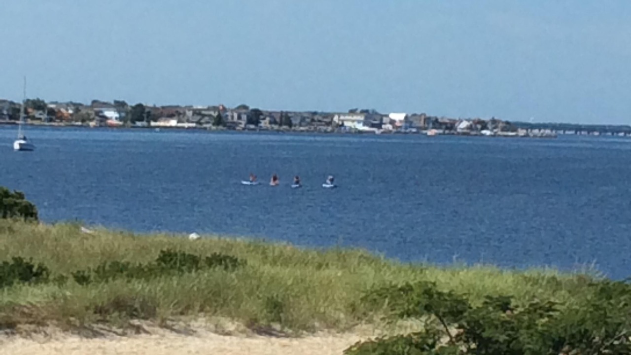 Photo of Others in Lavallette