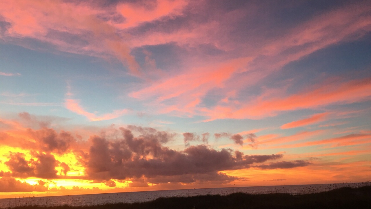 Photo of Others in Ocean Cay