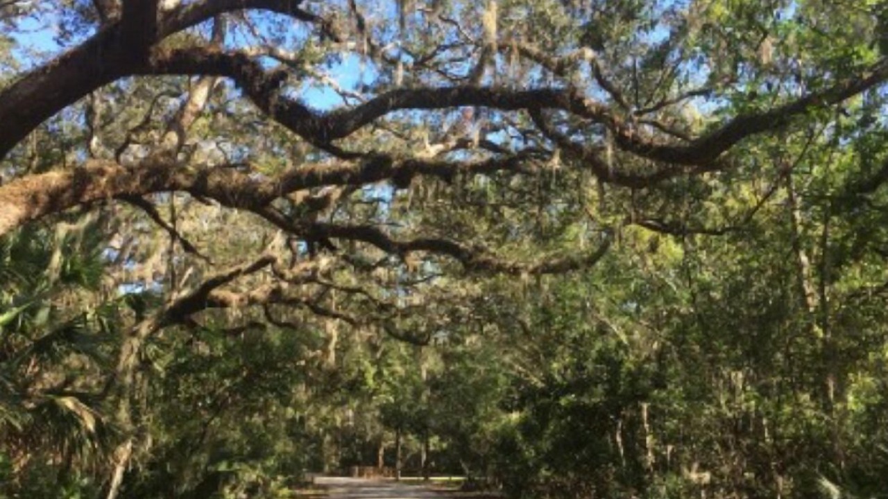 Photo of Others in Ocean Cay
