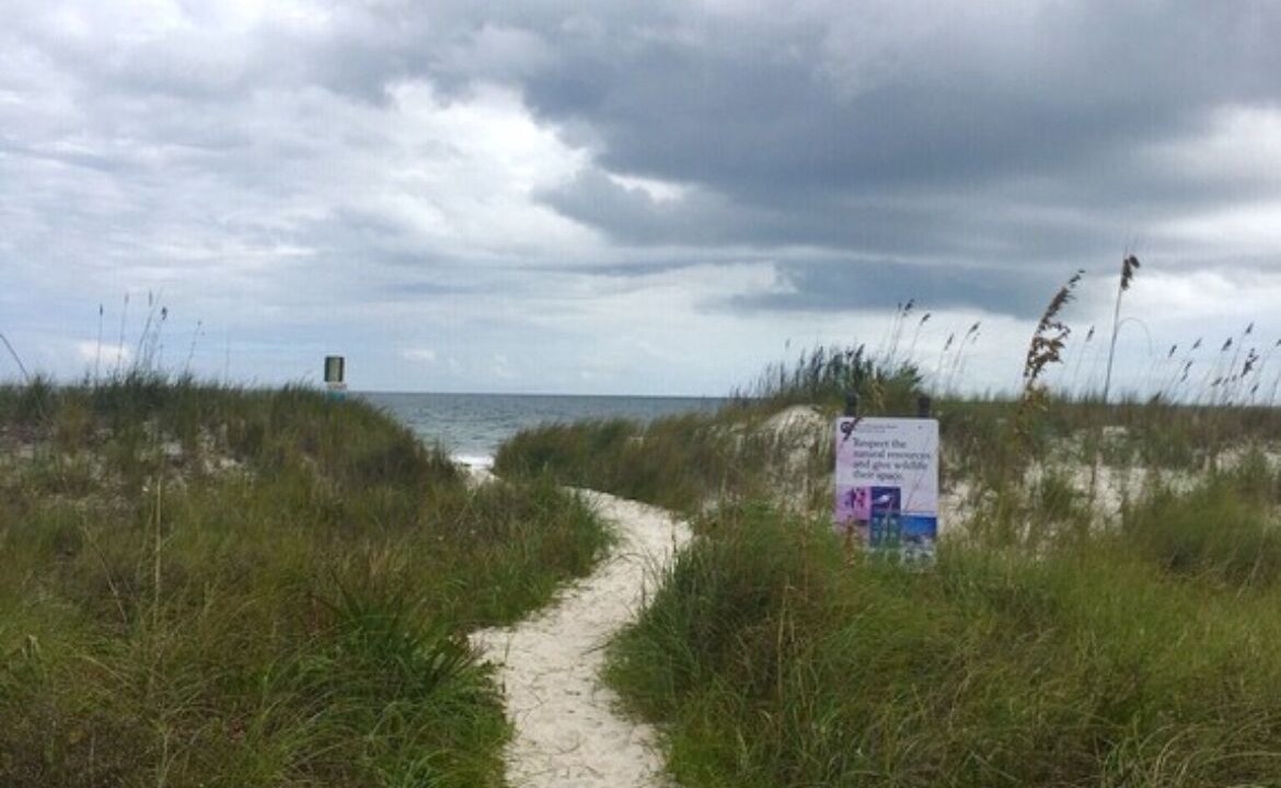 Photo of Others in Ocean Cay