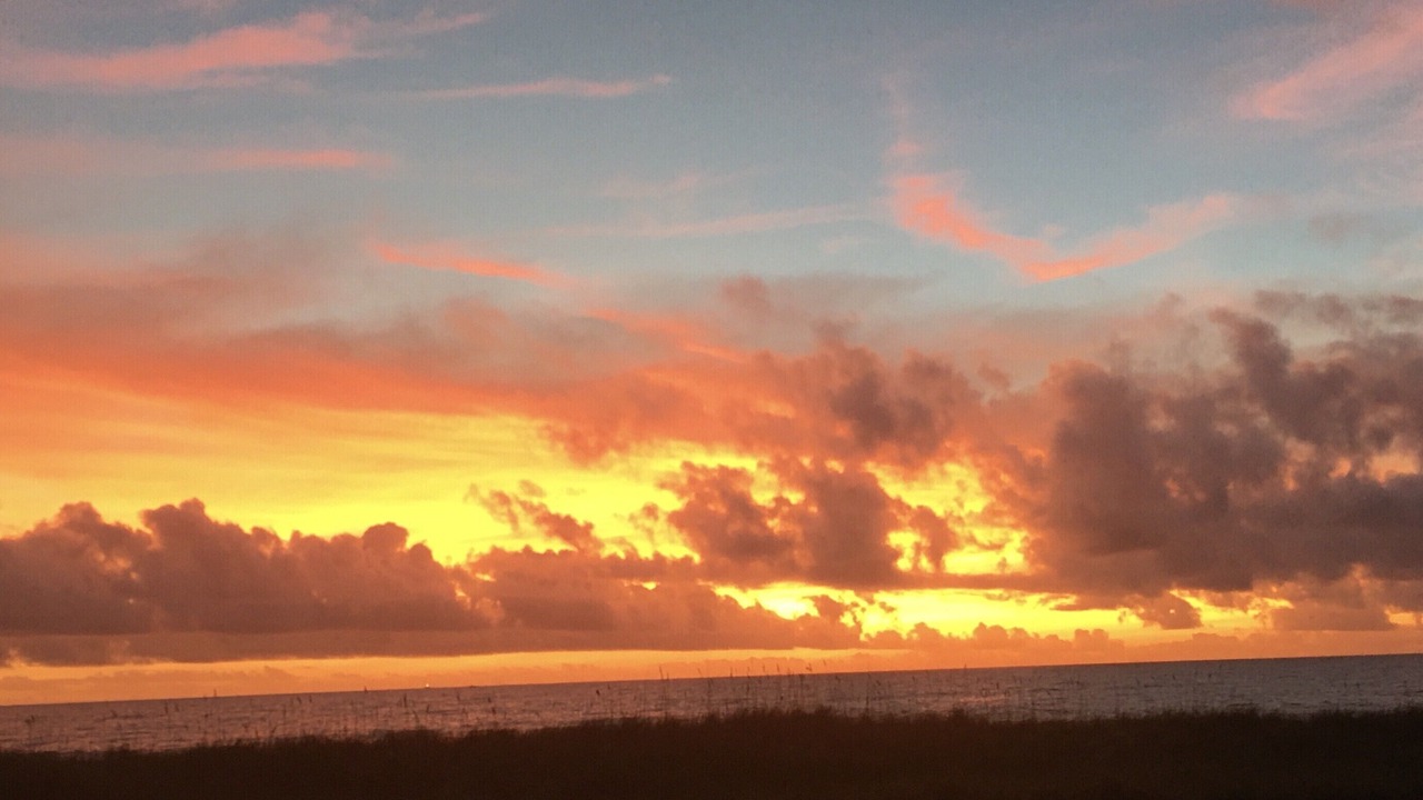 Photo of Others in Ocean Cay