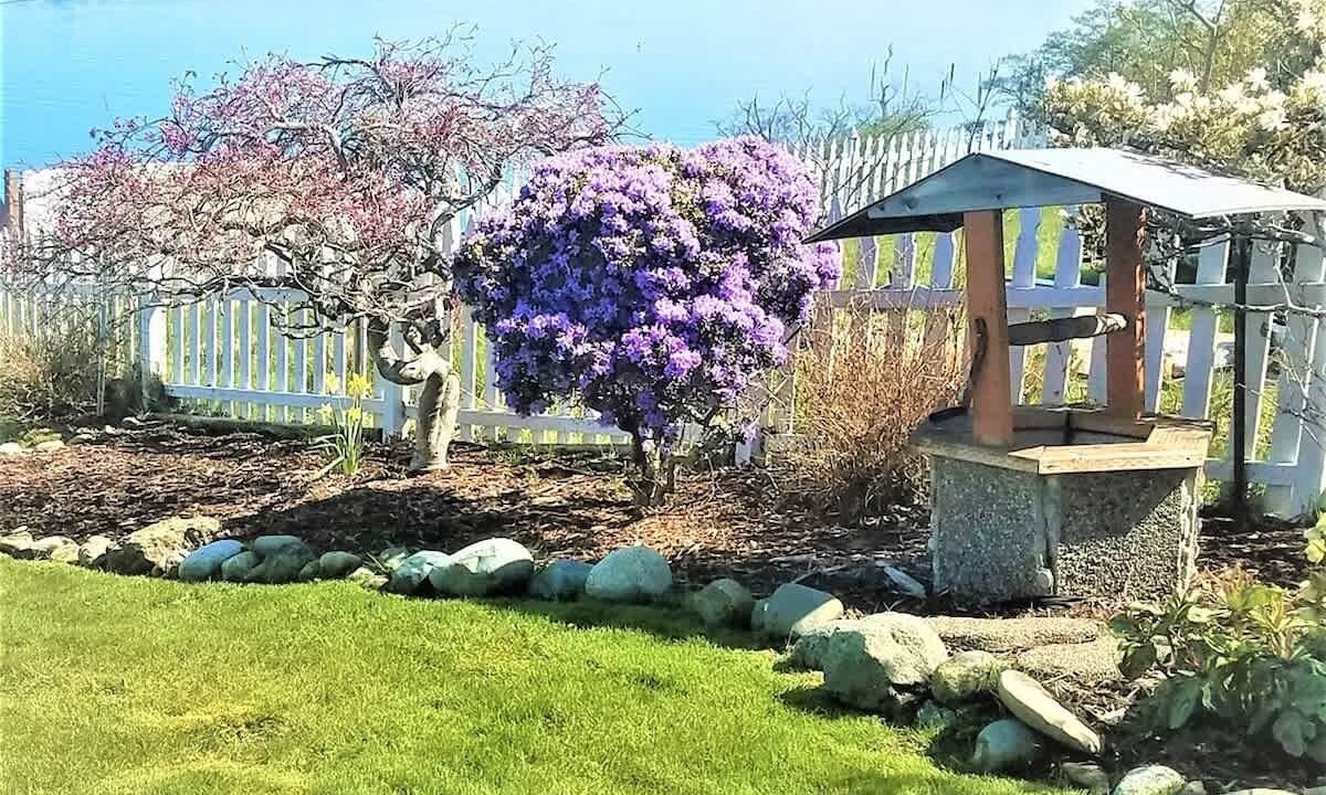 Photo of Others in Port Angeles