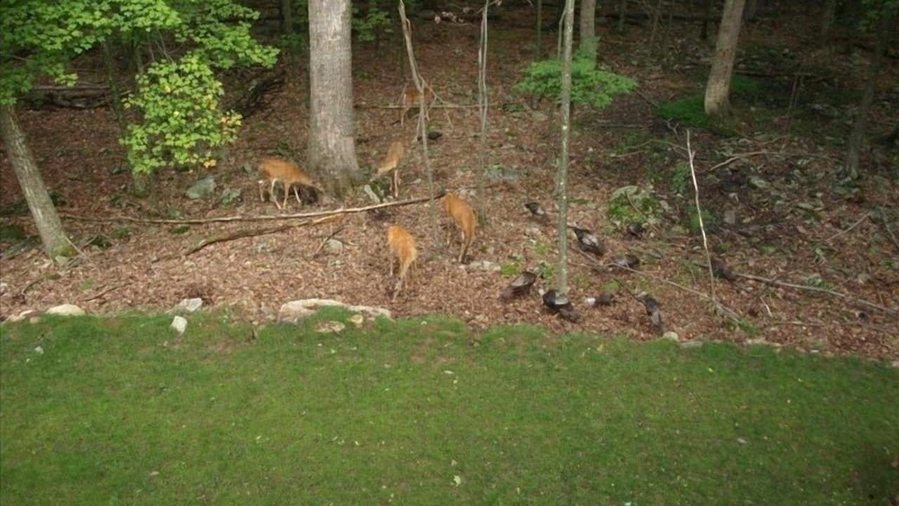 Photo of Others in Sybertsville