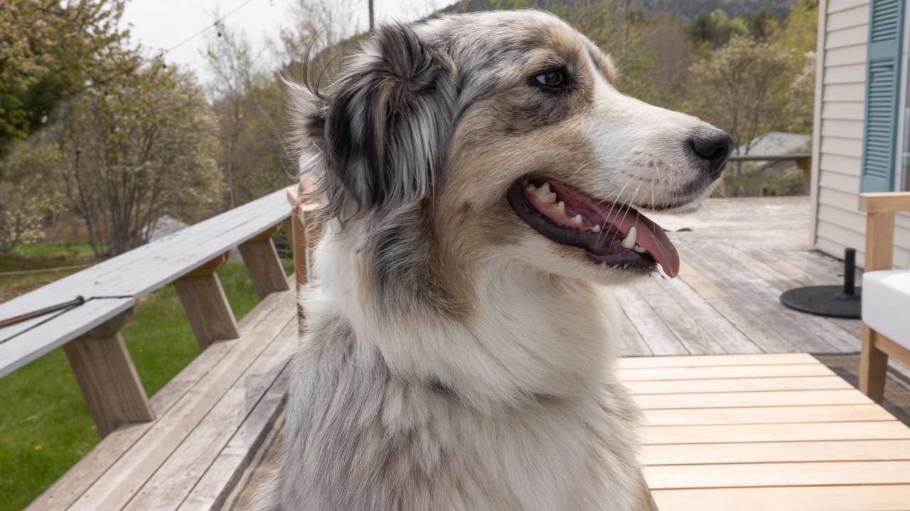 Photo of Outdoor in Hall Quarry