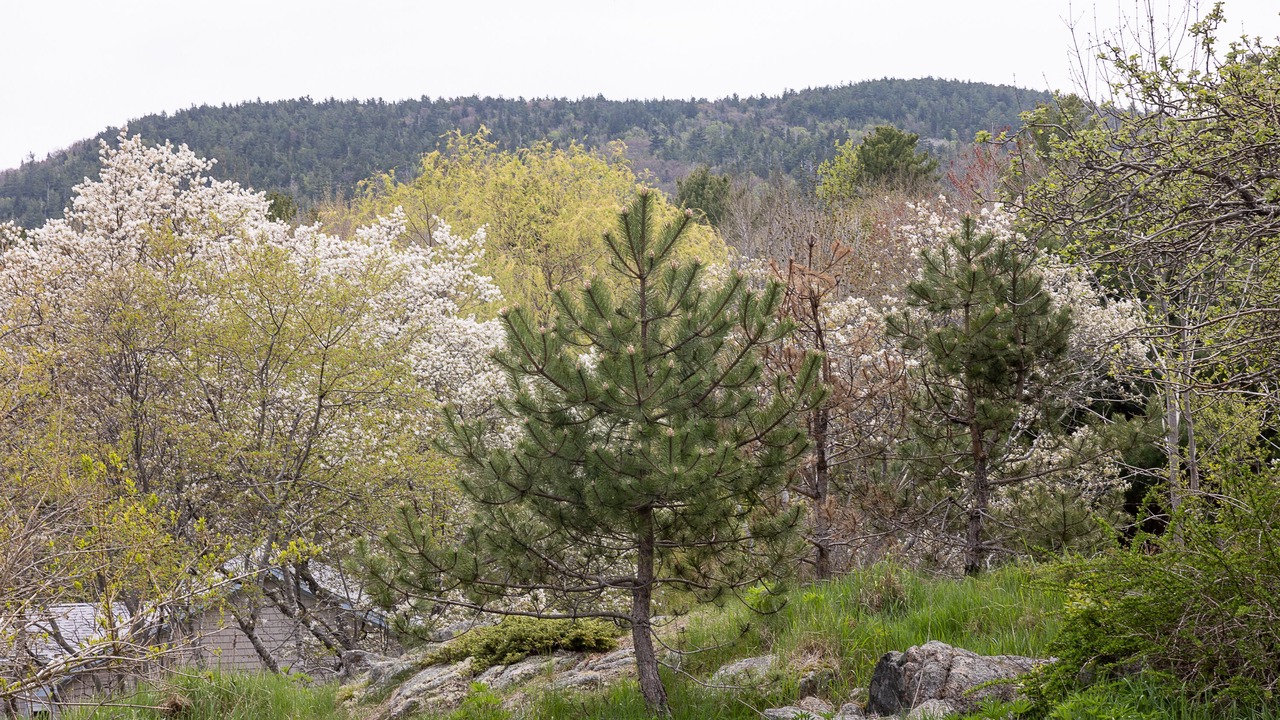 Photo of Outdoor in Hall Quarry