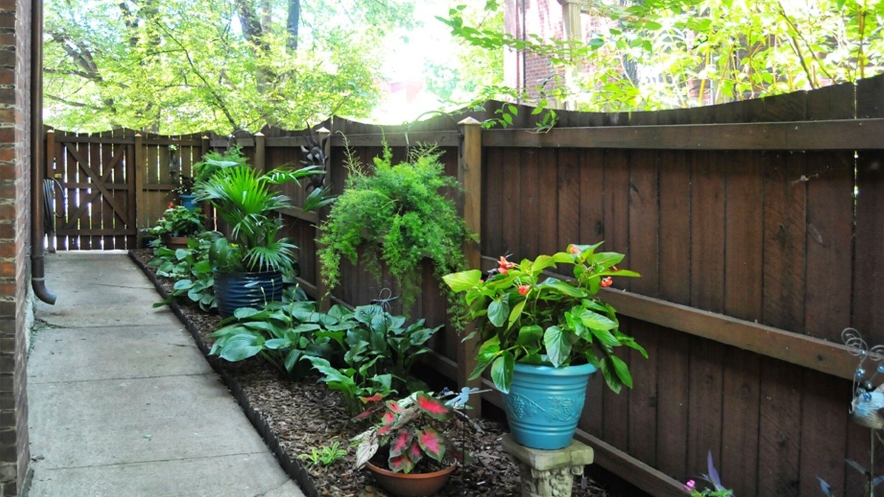 Photo of Outdoor in Old Louisville
