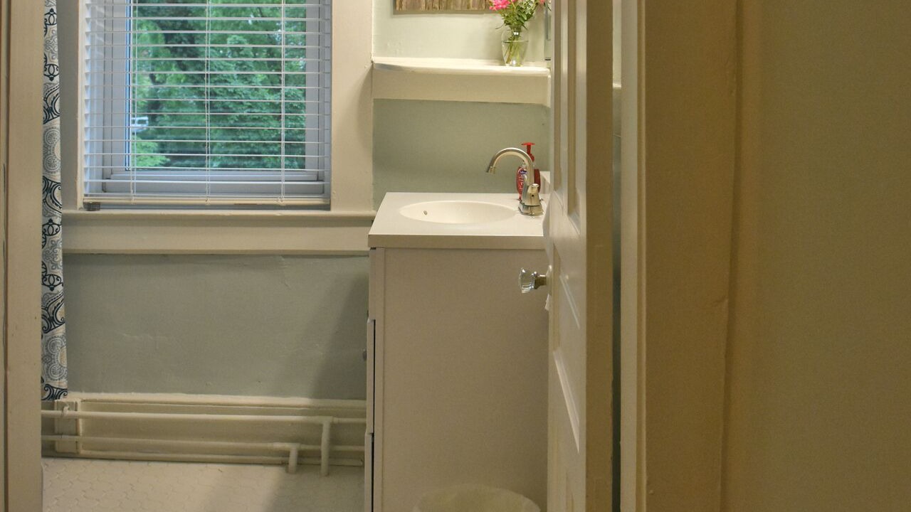 Photo of Bathroom in Old Louisville
