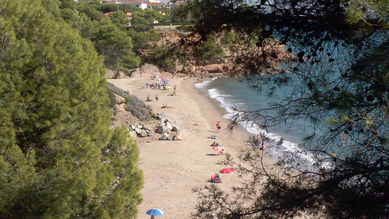 Photo of Others in Miami Platja